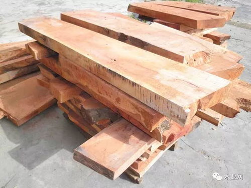 近几年缅甸木材生产量大幅下降