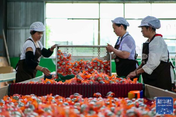 贵州三穗:产业融合壮大县域经济